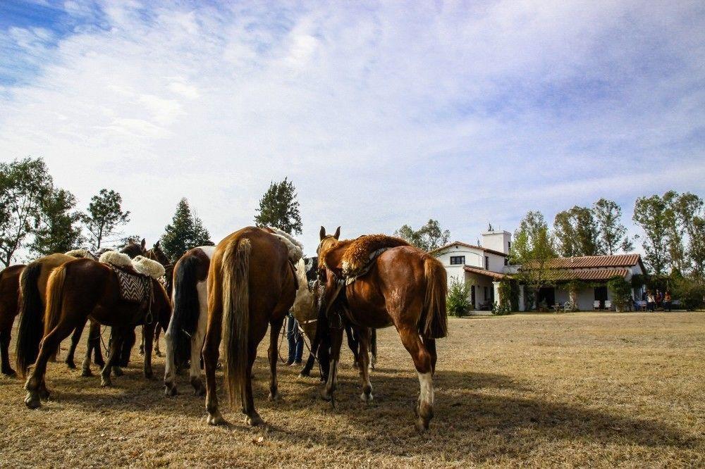 Finca Valentina El Encón Eksteriør billede
